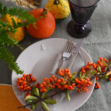 Load image into Gallery viewer, La Rochere Bee Plates | White