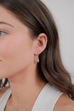 Load image into Gallery viewer, Nova Earrings