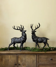 Load image into Gallery viewer, Head Up Black Stag