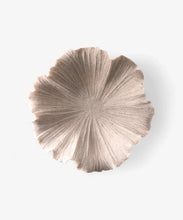 Load image into Gallery viewer, Shell Bowl | Ribbed