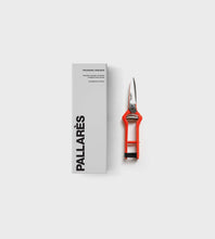 Load image into Gallery viewer, Pallares Pruning Shears | Vintage Scissors Straight | Carbon Steel