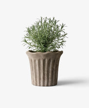 Load image into Gallery viewer, Terra Fluted Planter
