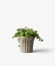 Load image into Gallery viewer, Terra Fluted Planter