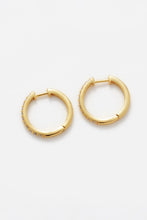 Load image into Gallery viewer, Catalina Hoop | Gold | Crystal Earrings
