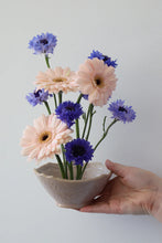Load image into Gallery viewer, Ikedana Ceramic Bowl
