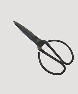 Black Herb Scissors