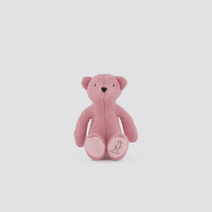 Dear Ted Little Ted | Rosewater