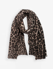 Load image into Gallery viewer, Stella + Gemma Leopard Scarf
