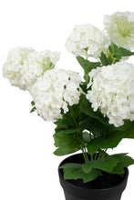 Load image into Gallery viewer, Snowball Potted | Off White - 40cm
