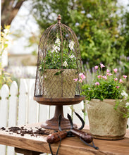 Load image into Gallery viewer, Maison Garden Cloche

