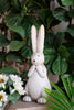 Rabbit with Long Ears