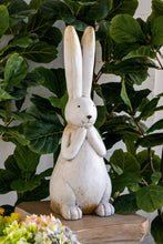 Load image into Gallery viewer, Rabbit with Long Ears
