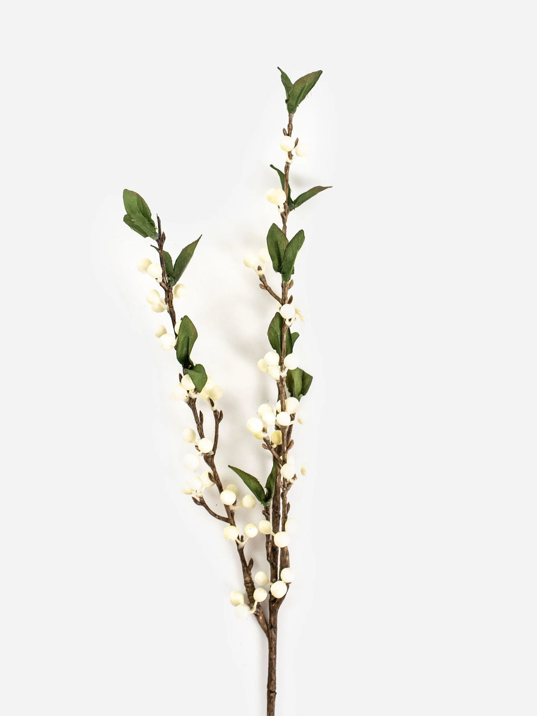 Cranberry Spray | White