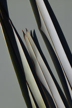 Load image into Gallery viewer, Real World - Restore  Body Wash - Harakeke &amp; Blood Orange
