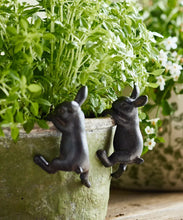 Load image into Gallery viewer, Hanging Bunny
