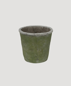 Evergreen Plant Pot