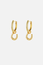 Load image into Gallery viewer, Zafino | Lucky Hoop
