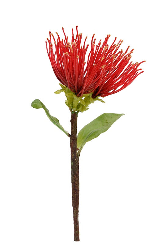 Pohutukawa Pick | 20cm