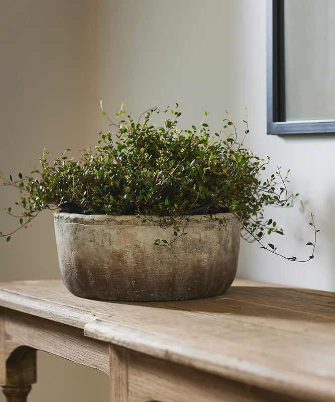 Marron Planter Bowl