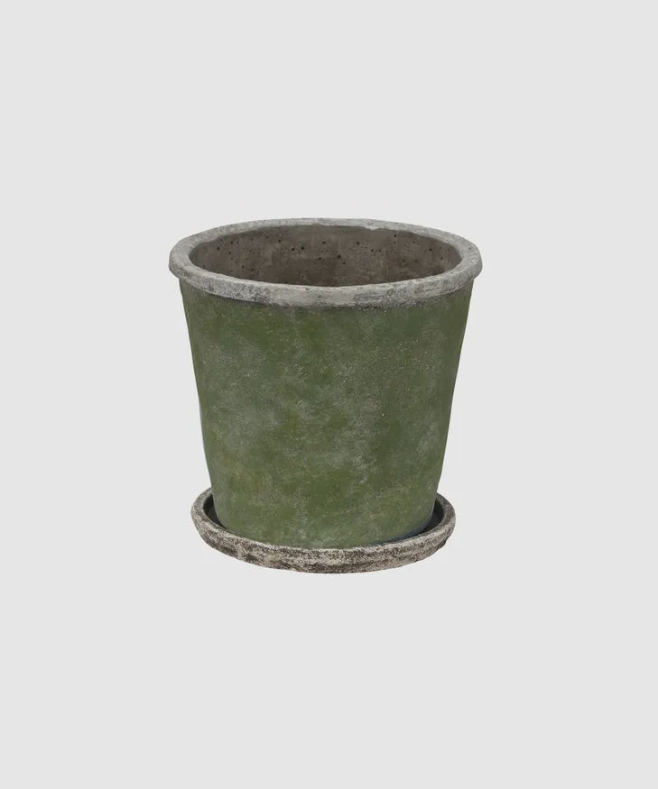 Evergreen Plant Pot + Saucer