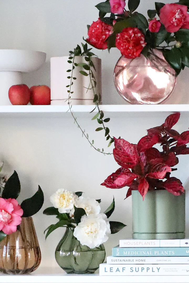 Planters w Tray – Tempt Concept Store