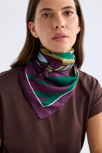 Load image into Gallery viewer, Elk - Stribe Print Scarf
