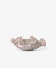Load image into Gallery viewer, Shell Bowl | Ribbed
