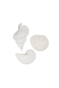 Shell Wall Vases S3  - White