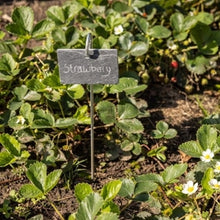 Load image into Gallery viewer, Planter Stick With Slate Label
