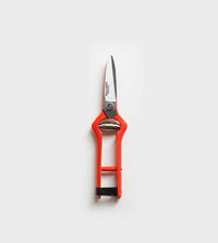 Load image into Gallery viewer, Pallares Pruning Shears | Vintage Scissors Straight | Carbon Steel
