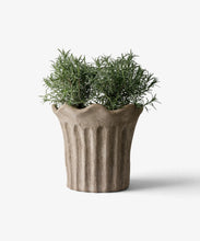 Load image into Gallery viewer, Terra Fluted Planter
