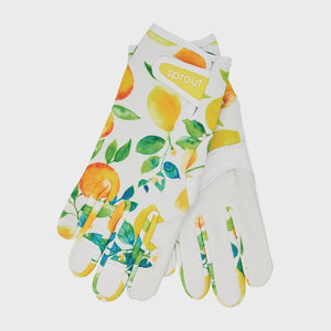 SPROUT Goatskin Gloves | Amalfi Citrus