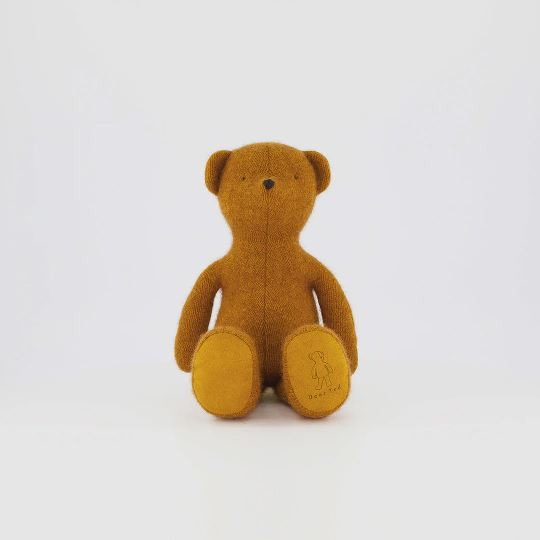 Dear Ted Large Edition | Butterscotch